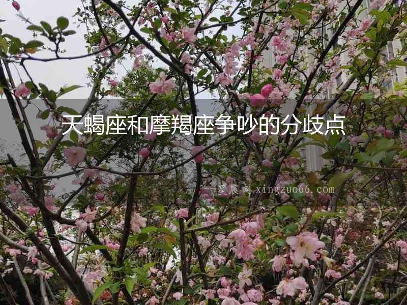 天蝎座和摩羯座爭吵的分歧點