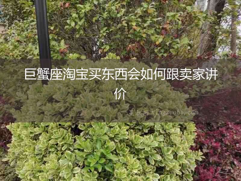 巨蟹座淘寶買東西會如何跟賣家講價