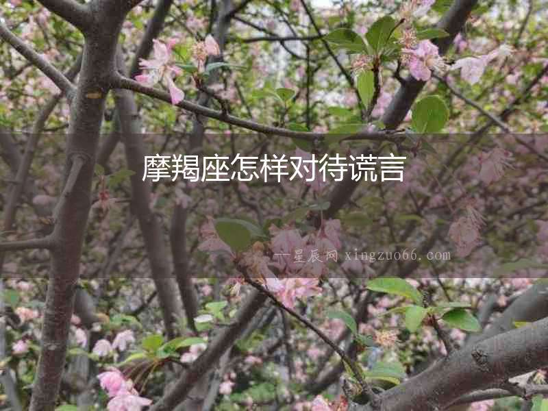 摩羯座怎樣對待謊言