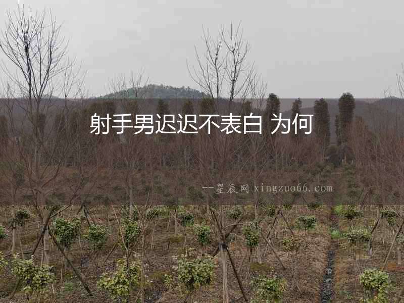 射手男遲遲不表白 為何