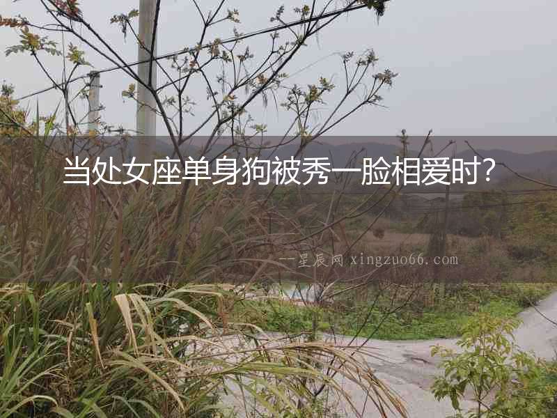 當處女座單身狗被秀一臉相愛時？
