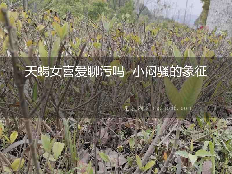 天蝎女喜愛(ài)聊污嗎  小悶騷的象征
