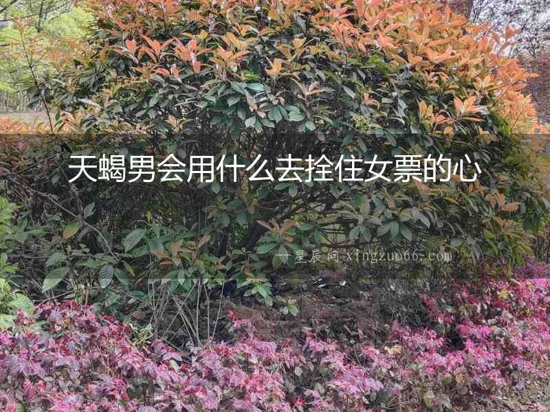 天蝎男會用什么去拴住女票的心