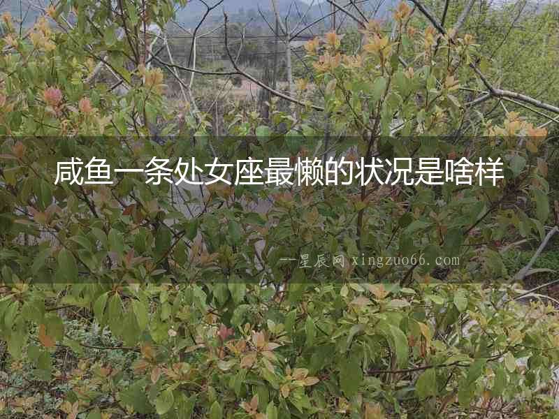 咸魚一條處女座最懶的狀況是啥樣