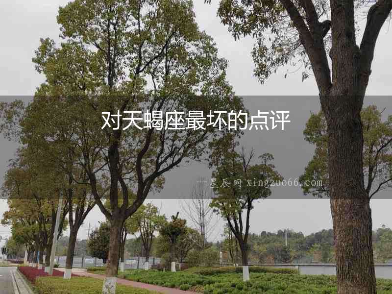對天蝎座最壞的點評