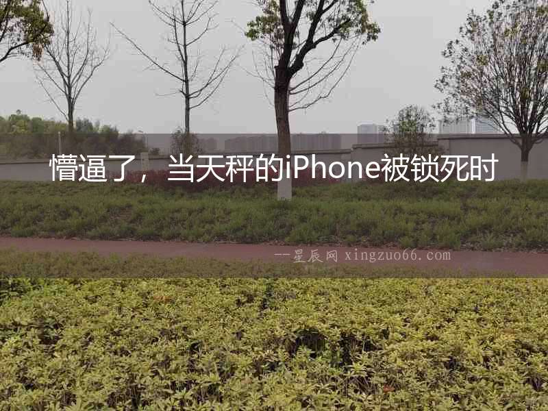 懵逼了，當天秤的iPhone被鎖死時