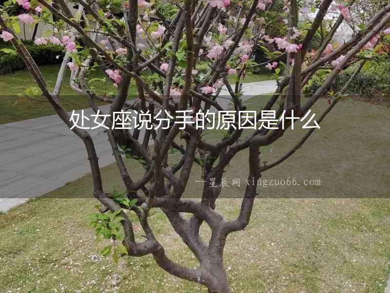 處女座說分手的原因是什么