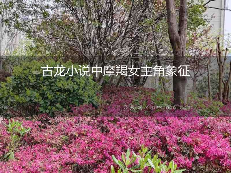 古龍小說中摩羯女主角象征
