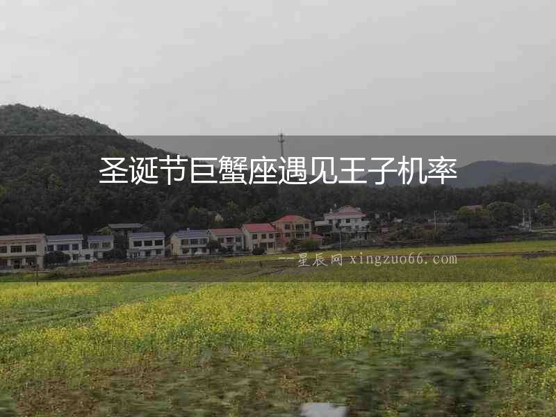 圣誕節巨蟹座遇見王子機率