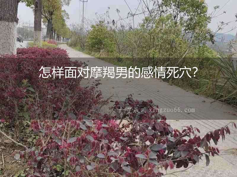 怎樣面對(duì)摩羯男的感情死穴？