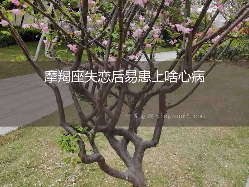 摩羯座失戀后易患上啥心病