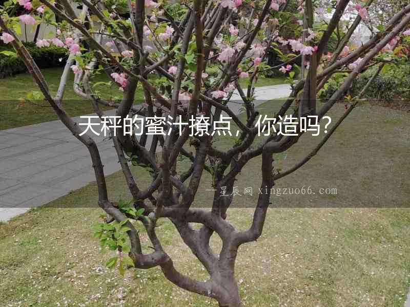 天秤的蜜汁撩點，你造嗎？