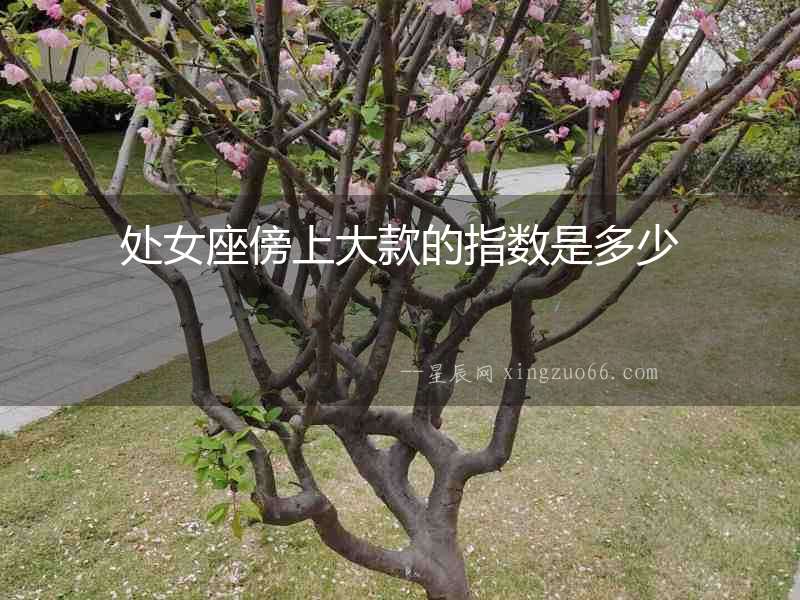 處女座傍上大款的指數(shù)是多少