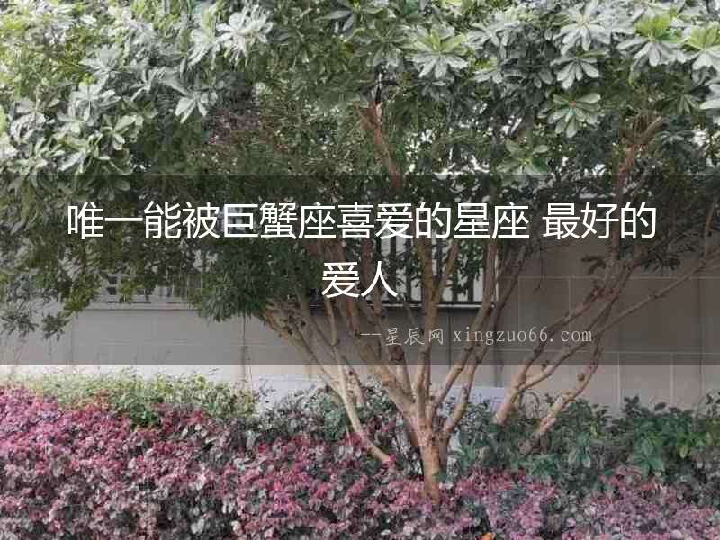 唯一能被巨蟹座喜愛的星座 最好的愛人