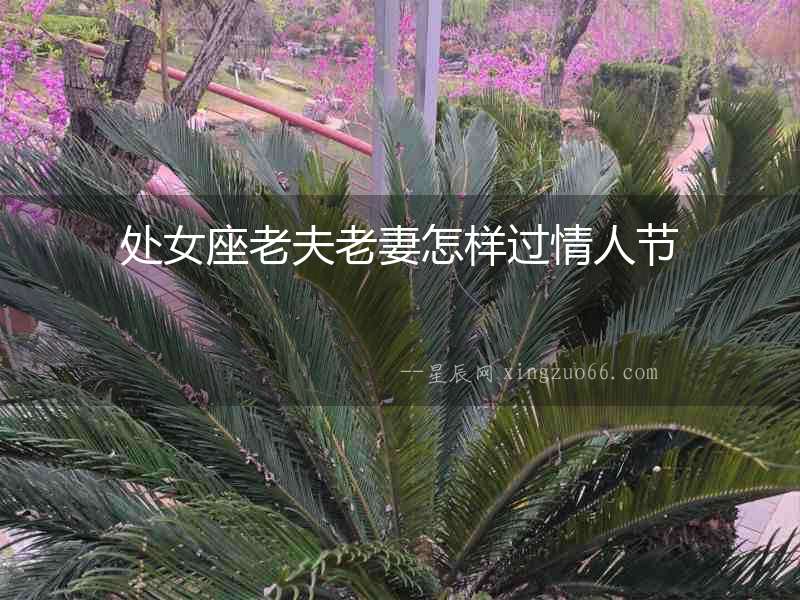 處女座老夫老妻怎樣過情人節