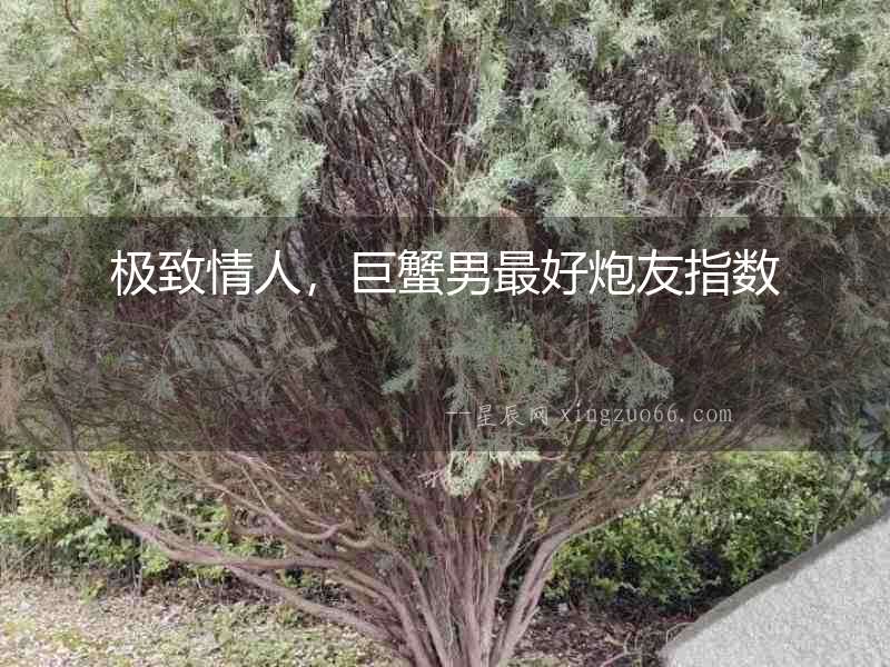 極致情人，巨蟹男最好炮友指數(shù)
