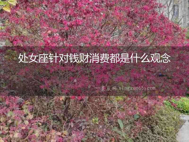 處女座針對錢財消費都是什么觀念
