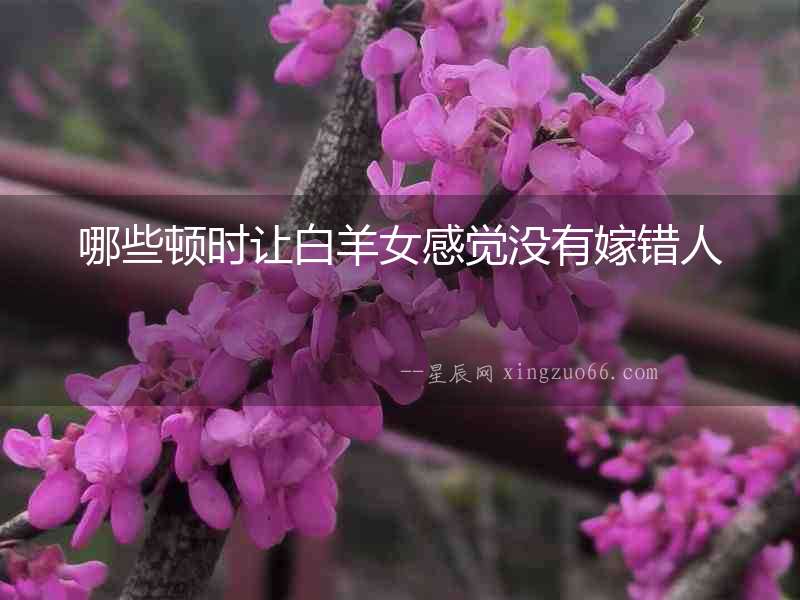 哪些頓時(shí)讓白羊女感覺沒有嫁錯(cuò)人
