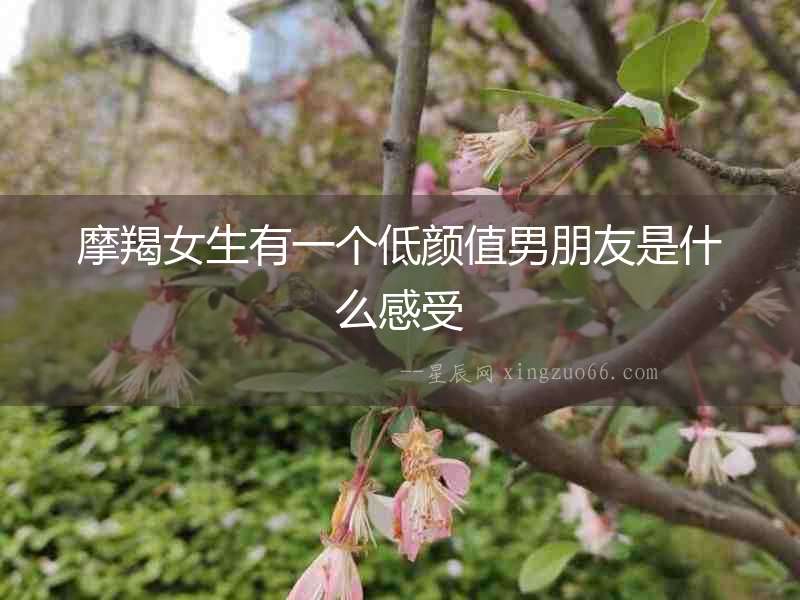 摩羯女生有一個(gè)低顏值男朋友是什么感受