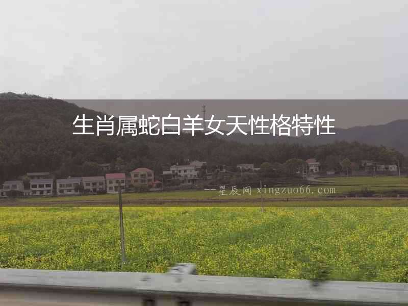 生肖屬蛇白羊女天性格特性