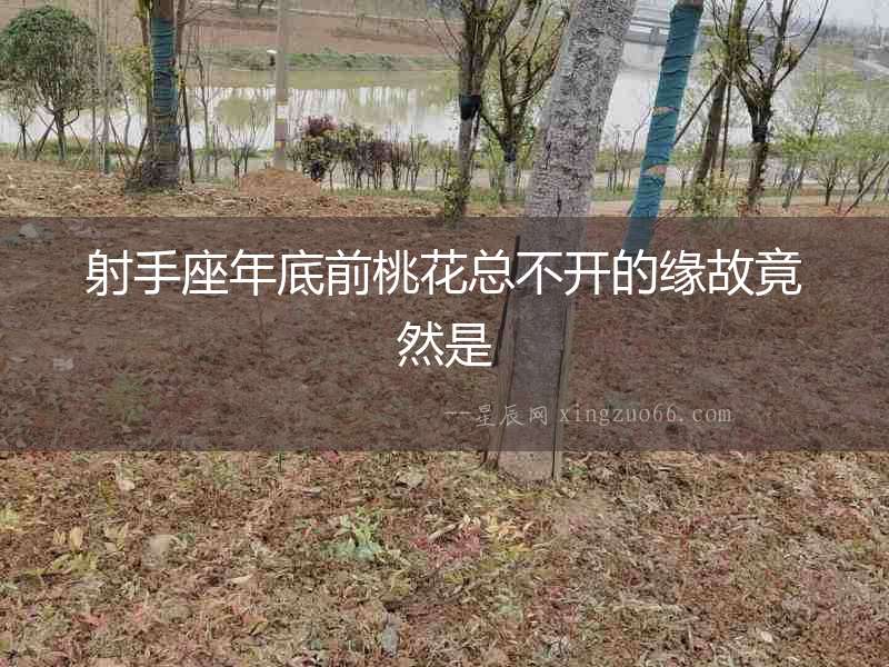 射手座年底前桃花總不開的緣故竟然是