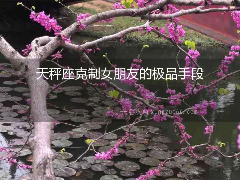 天秤座克制女朋友的極品手段