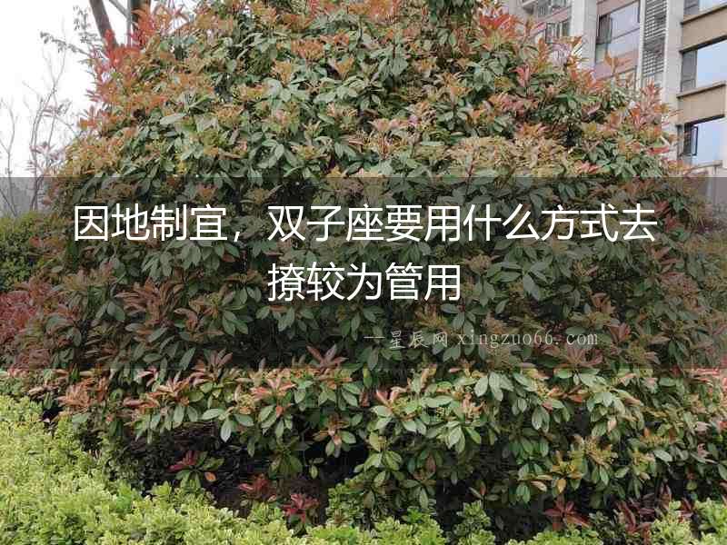 因地制宜，雙子座要用什么方式去撩較為管用