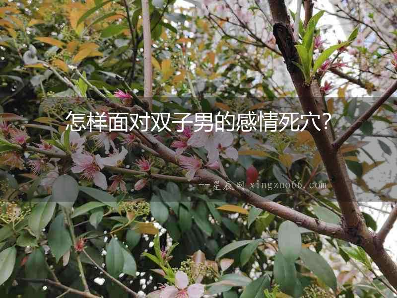 怎樣面對雙子男的感情死穴？