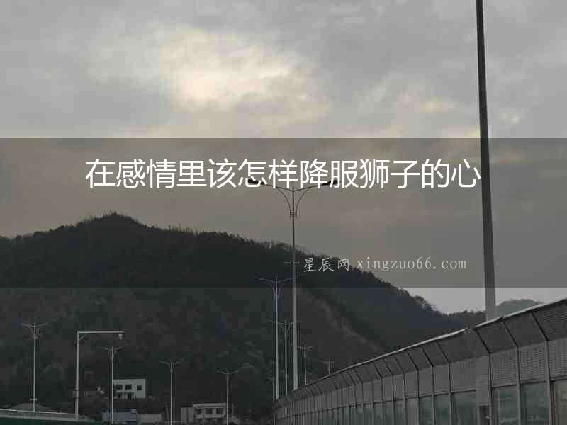 在感情里該怎樣降服獅子的心