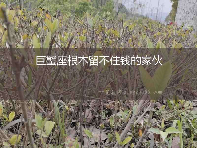 巨蟹座根本留不住錢的家伙