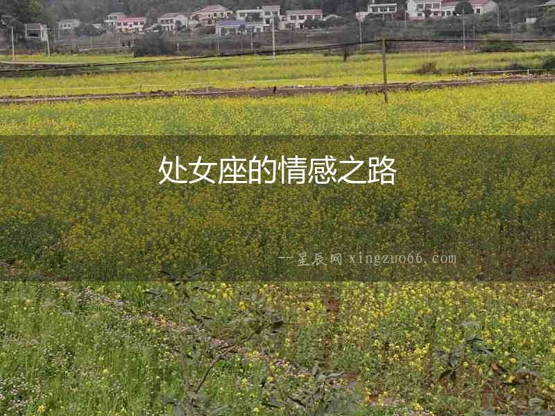 處女座的情感之路