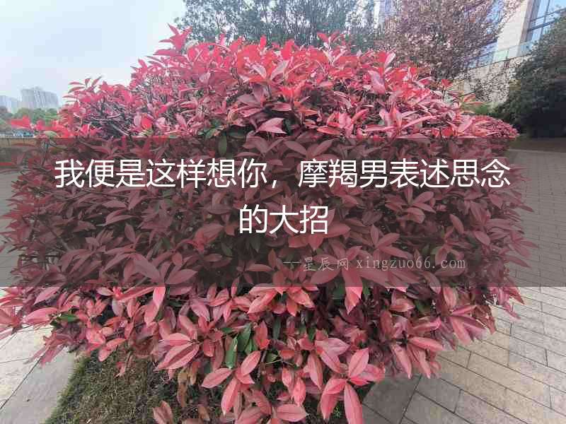 我便是這樣想你，摩羯男表述思念的大招
