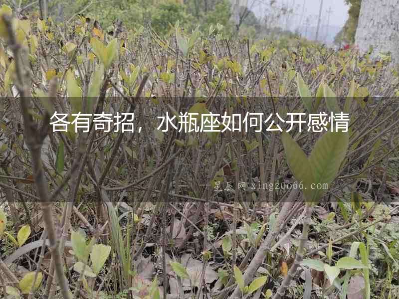 各有奇招，水瓶座如何公開感情