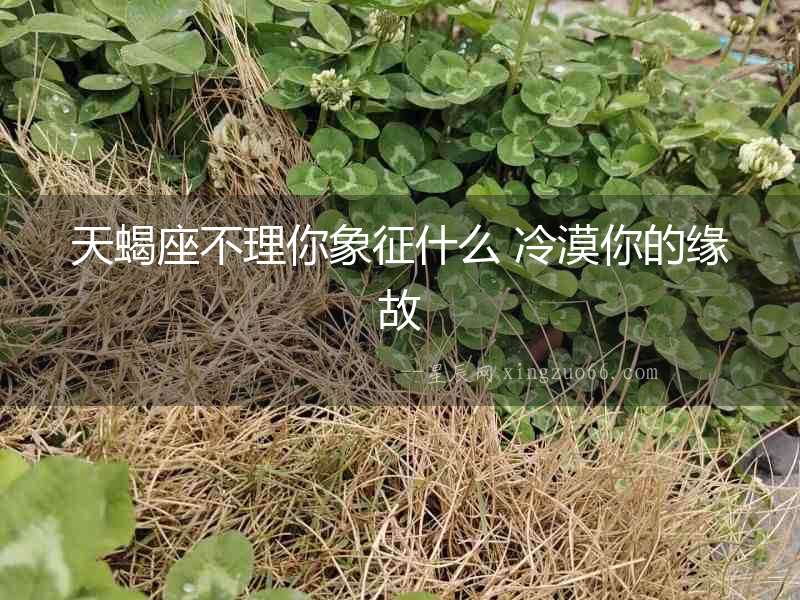 天蝎座不理你象征什么 冷漠你的緣故