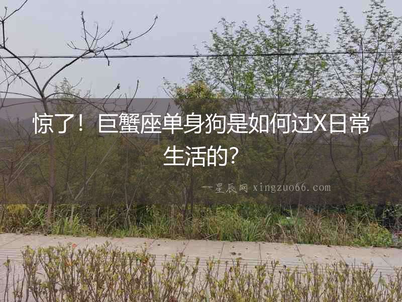 驚了！巨蟹座單身狗是如何過X日常生活的？