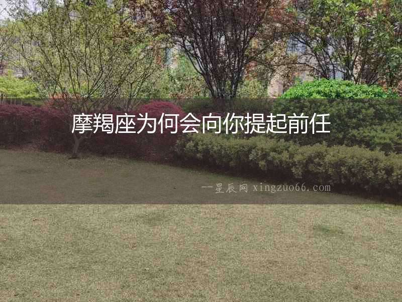 摩羯座為何會(huì)向你提起前任