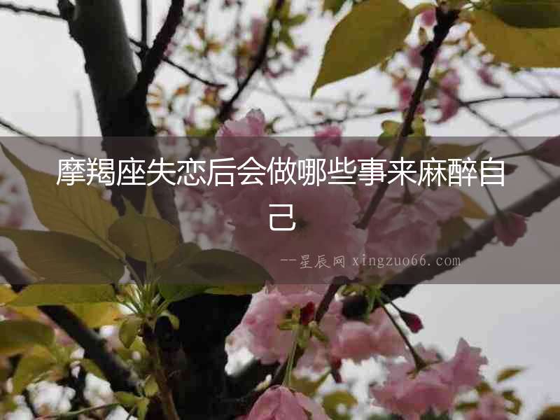 摩羯座失戀后會做哪些事來麻醉自己