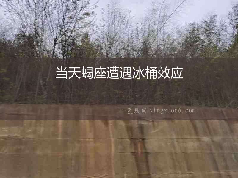 當天蝎座遭遇冰桶效應