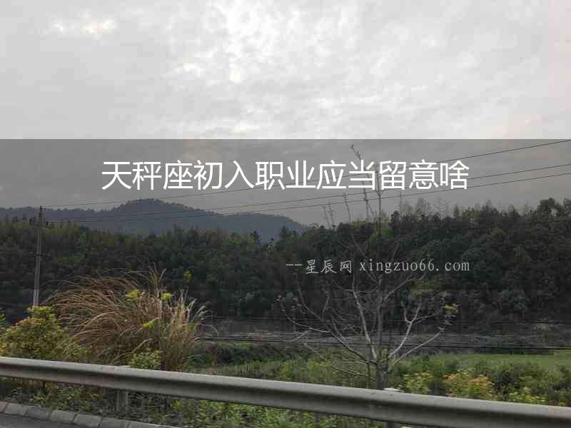 天秤座初入職業應當留意啥