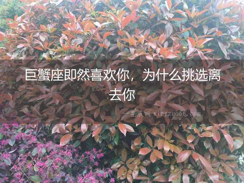 巨蟹座即然喜歡你，為什么挑選離去你