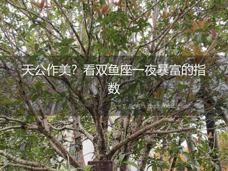 天公作美？看雙魚座一夜暴富的指數(shù)