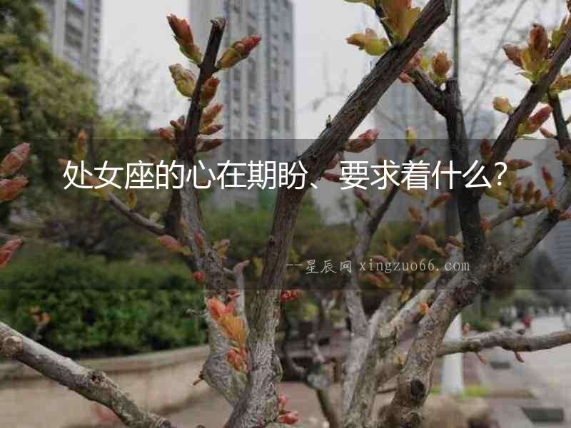 處女座的心在期盼、要求著什么？