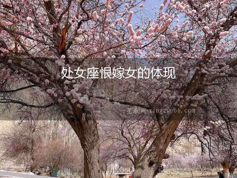 處女座恨嫁女的體現