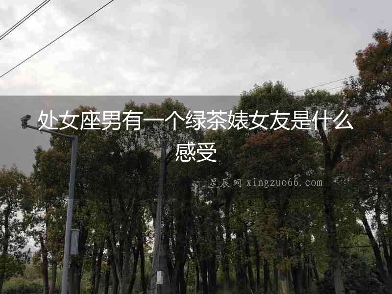 處女座男有一個綠茶婊女友是什么感受
