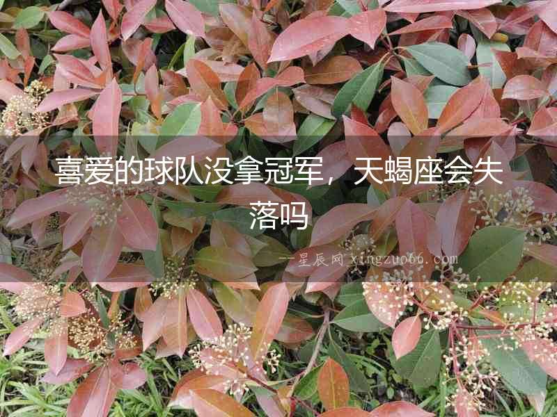 喜愛的球隊沒拿冠軍，天蝎座會失落嗎
