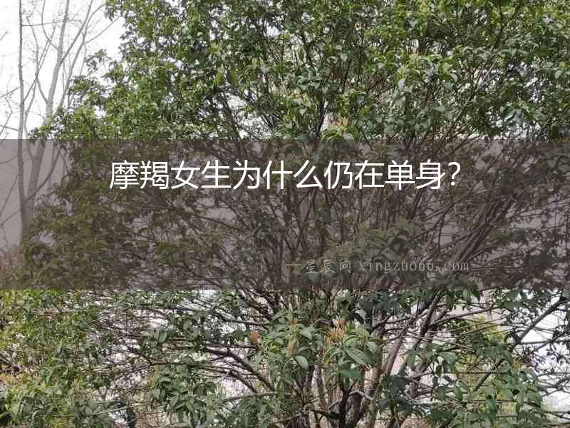 摩羯女生為什么仍在單身？