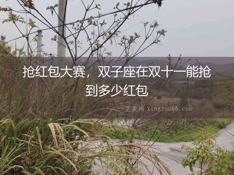 搶紅包大賽，雙子座在雙十一能搶到多少紅包