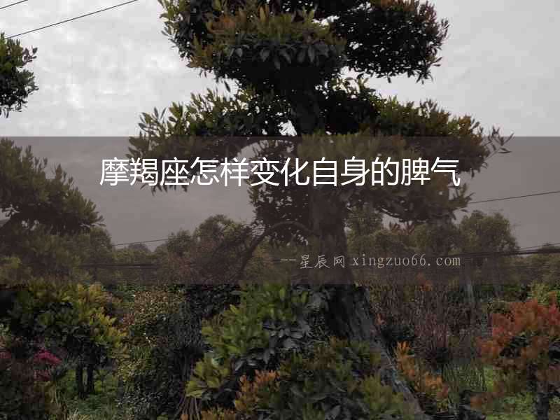 摩羯座怎樣變化自身的脾氣