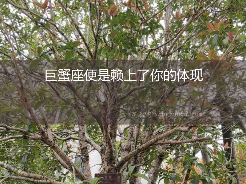 巨蟹座便是賴上了你的體現