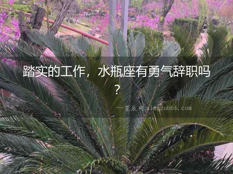 踏實的工作，水瓶座有勇氣辭職嗎？